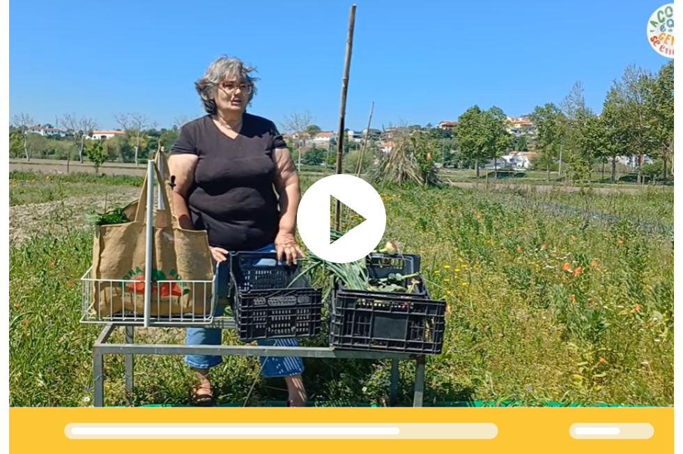 Cabaz Dona Rosa - Agricultura Biológica