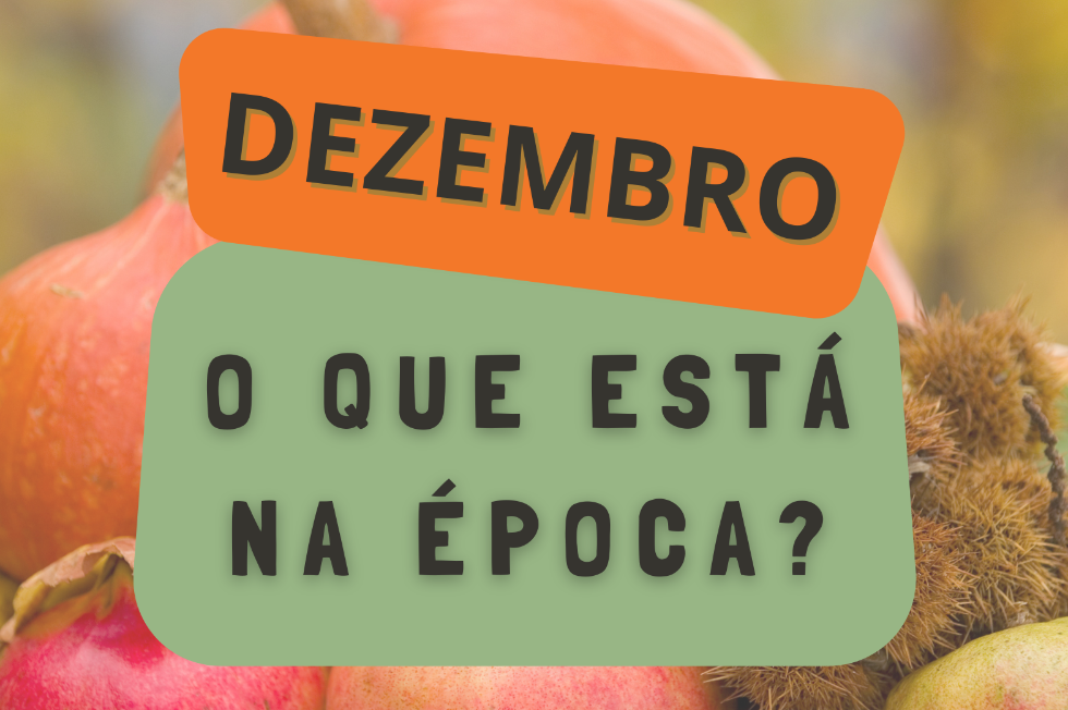 Calendário sazonal - Dezembro