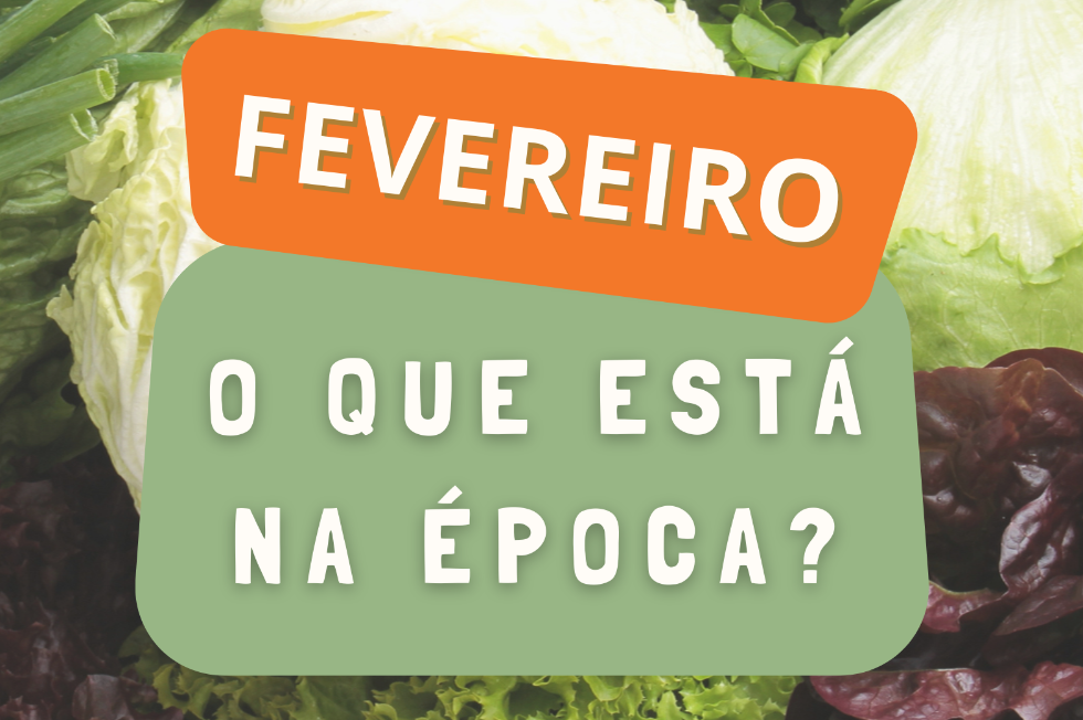 Calendário sazonal - Fevereiro
