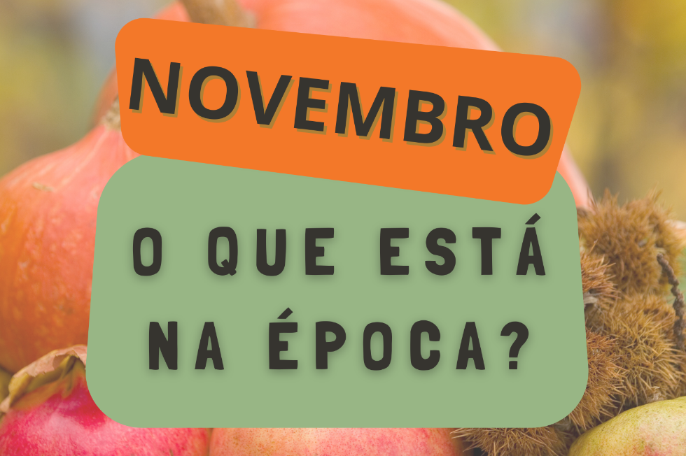 Calendário sazonal - Novembro